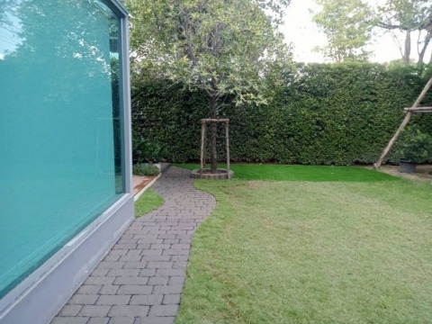 ขอบกั้นดินพลาสติกราคาถูก พร้อมส่ง 